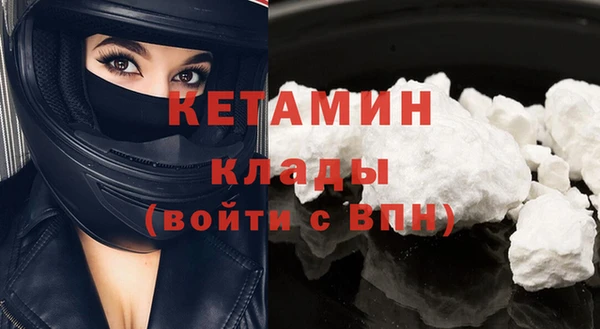 гидра Надым