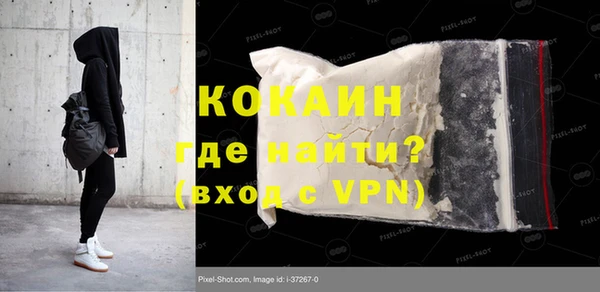 гидра Надым
