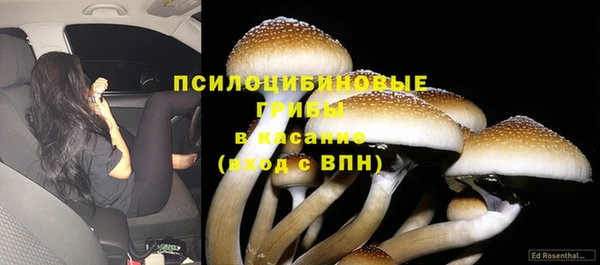 крисы Наволоки