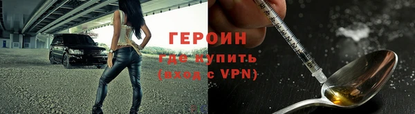 гидра Надым