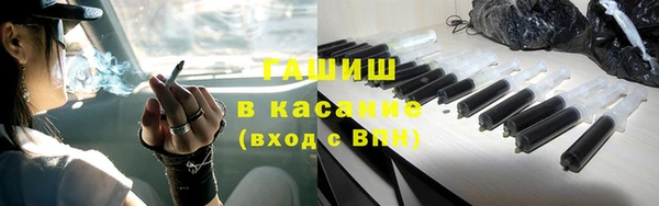 гидра Надым
