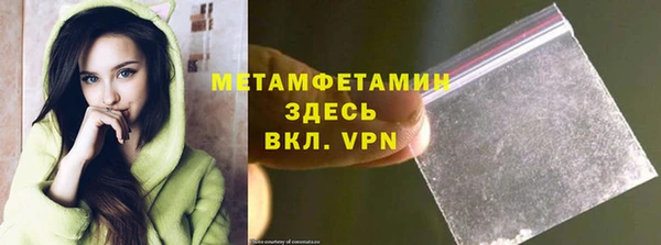гидра Надым