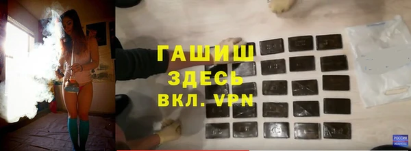гидра Надым
