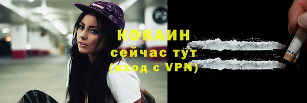 гидра Надым