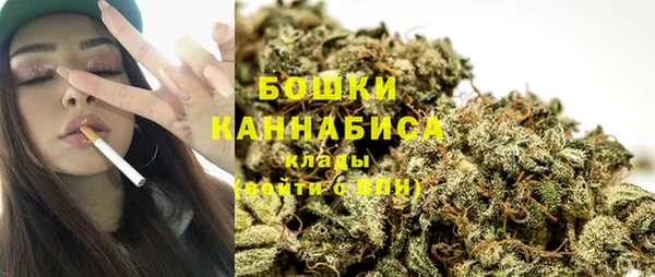 гидра Надым