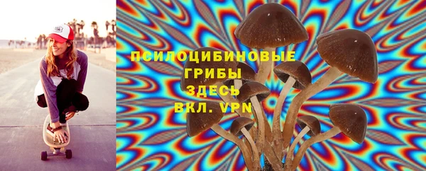 гидра Надым