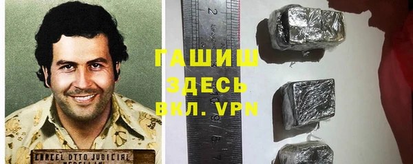 гидра Надым