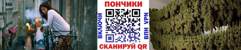 где купить наркоту  Белёв  Бошки Шишки AK-47 